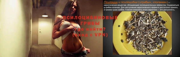прущая мука Арсеньев