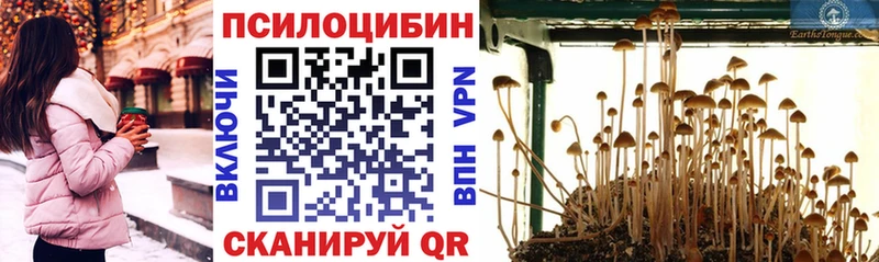 Псилоцибиновые грибы Cubensis  Купить закладки  Североморск 